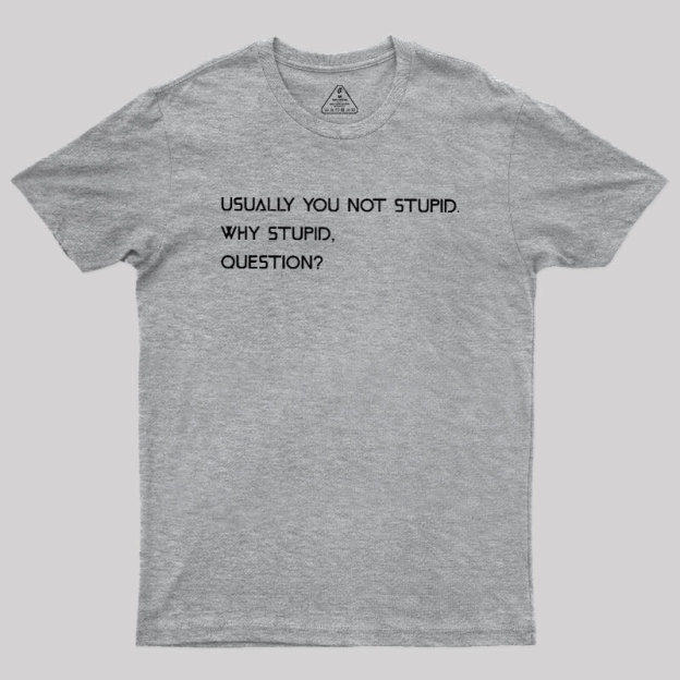 Why Stupid Question Geek T-Shirt
