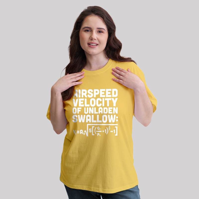 Airspeed Velocity of an Unladen Swallow Geek T-Shirt