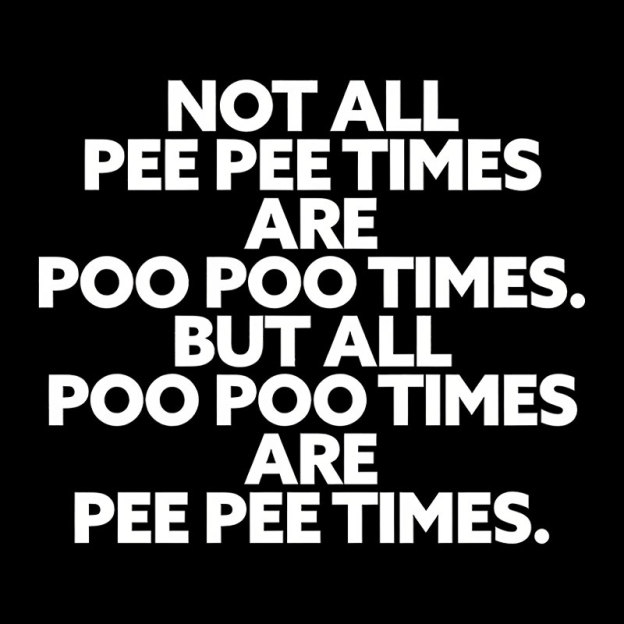 Pee Pee Poo Poo Times Geek T-Shirt