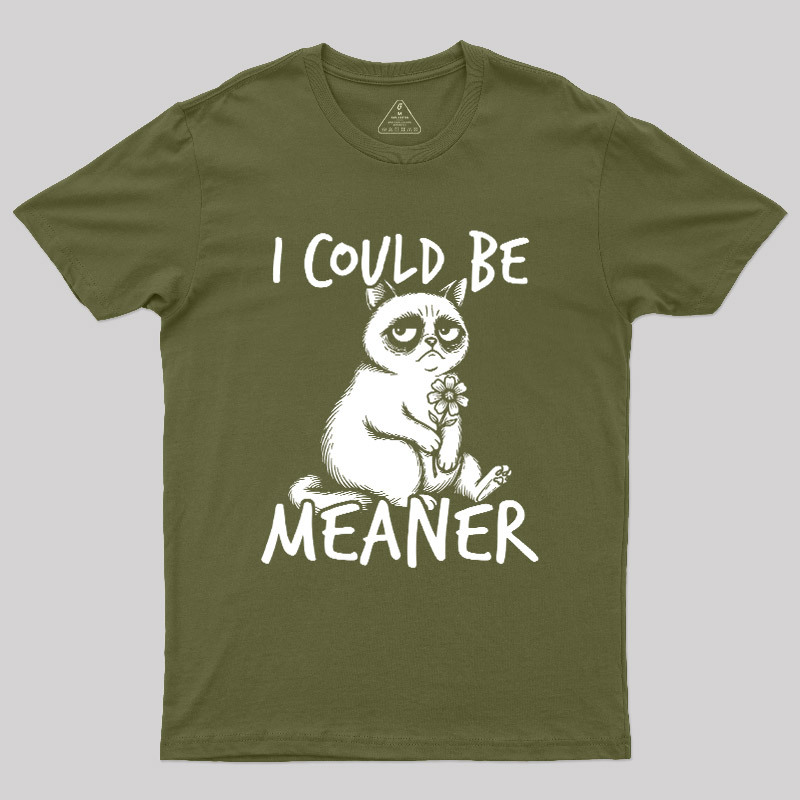 I Could Be Meaner Geek T-Shirt