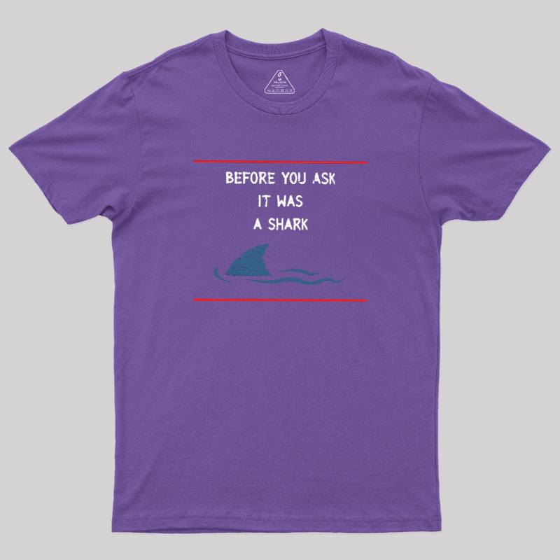 Before You Ask Geek T-Shirt