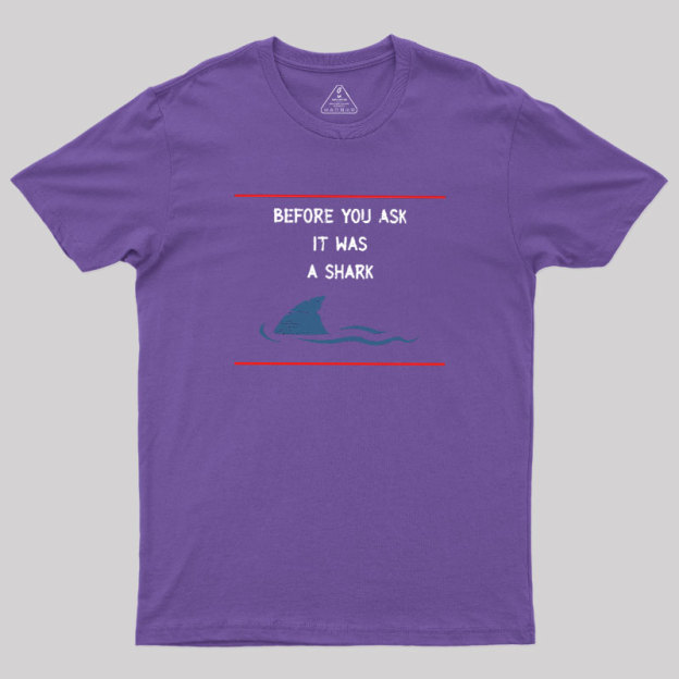 Before You Ask Geek T-Shirt