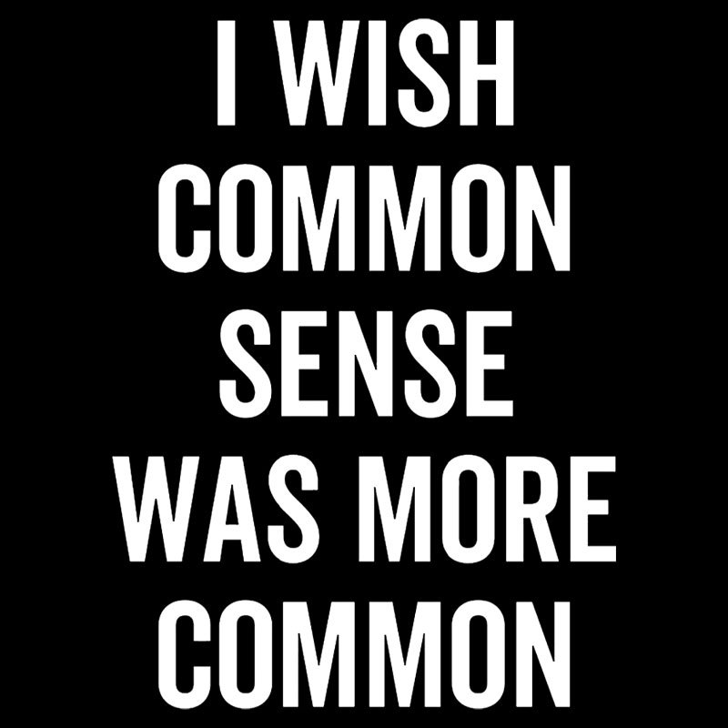 I Wish Common Sense Was More Common Geek T-Shirt