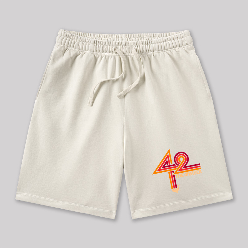 42 The Ultimate Answer Geeky Washed Shorts