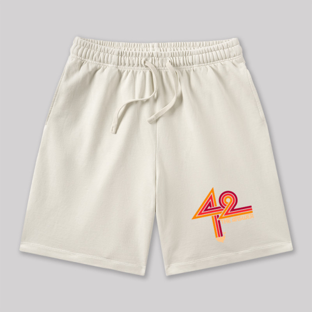 42 The Ultimate Answer Geeky Washed Shorts