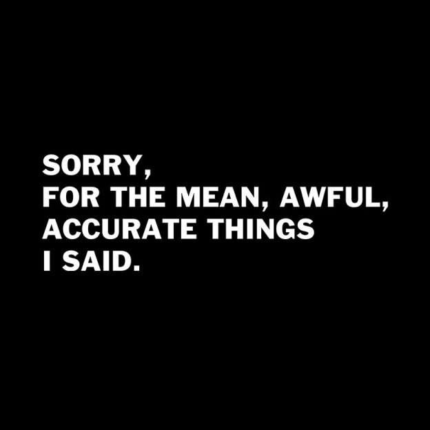 Accurate Things I Said Geek T-Shirt