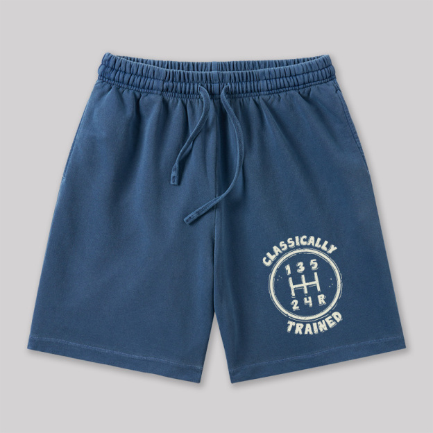 Classically Trained Geeky Washed Shorts