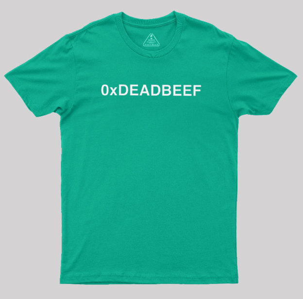 0xDEADBEEF Geek T-Shirt