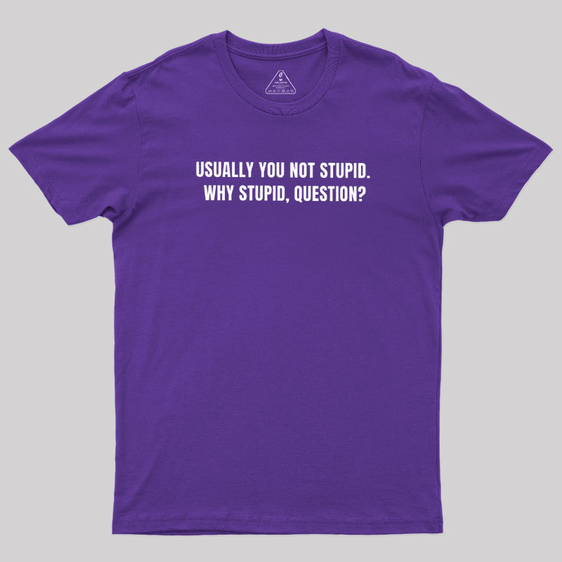 Why Stupid Geek T-Shirt