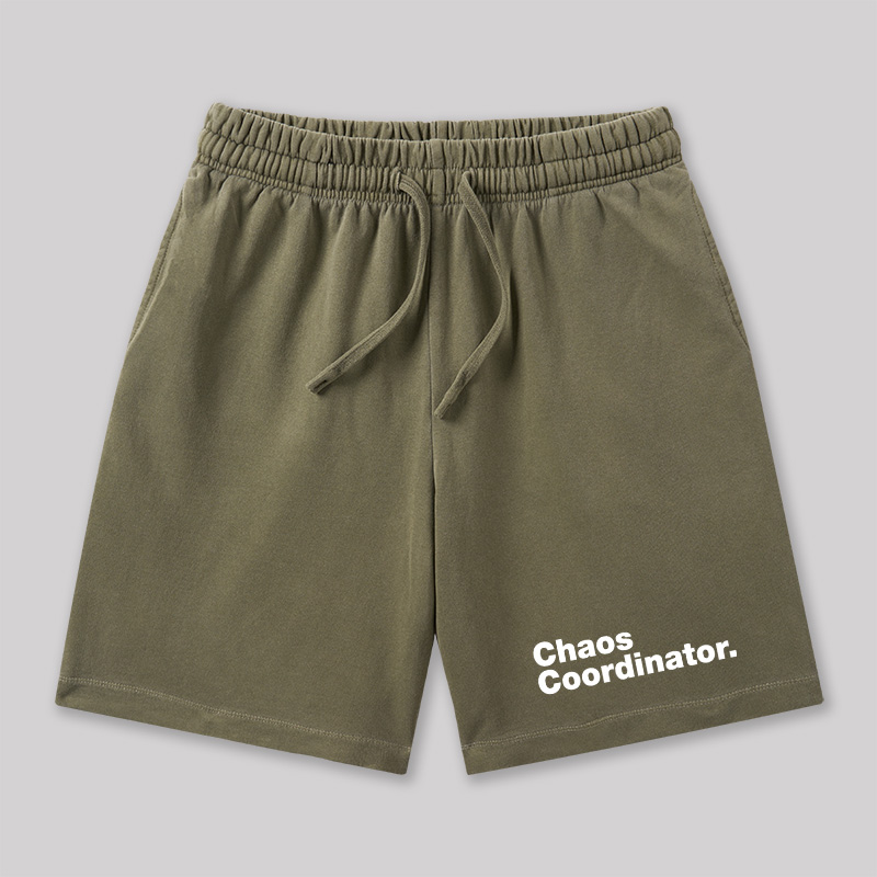Chaos Coordinator Geeky Washed Shorts