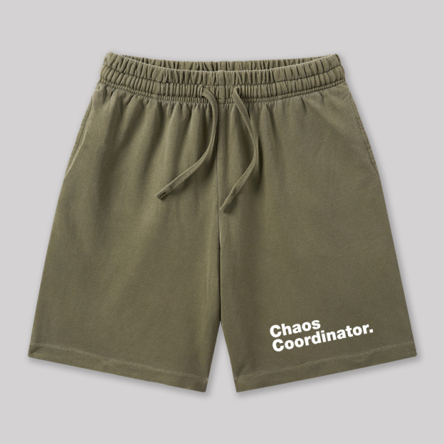 Chaos Coordinator Geeky Washed Shorts