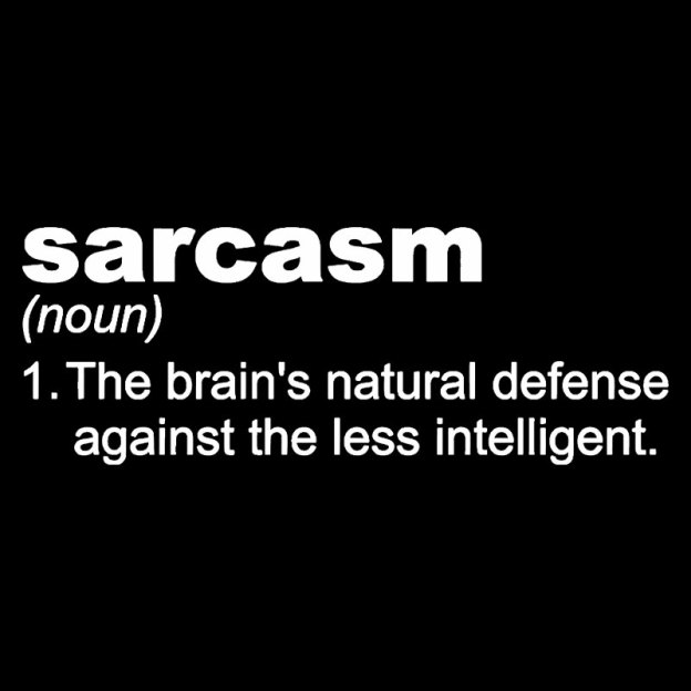 Sarcasm Geek T-Shirt