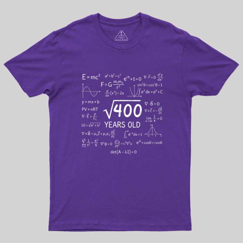 The Age Equation Geek T-Shirt