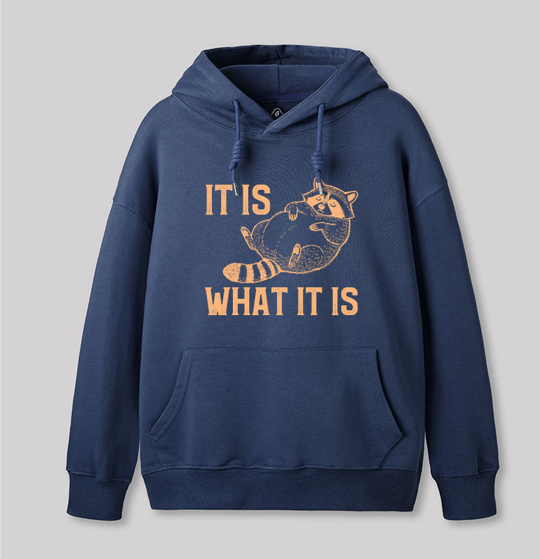 This Is What It Is Geek Hoodie