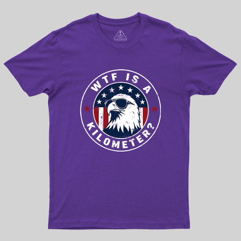 American Flag Colors Kilometers Humor Geek T-Shirt