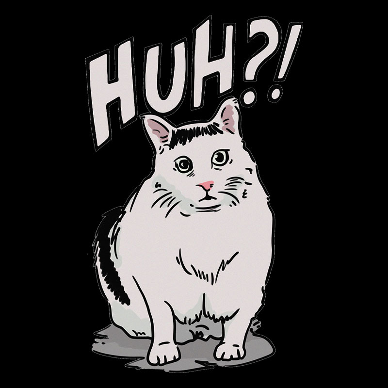 Huh Cat Geek T-Shirt