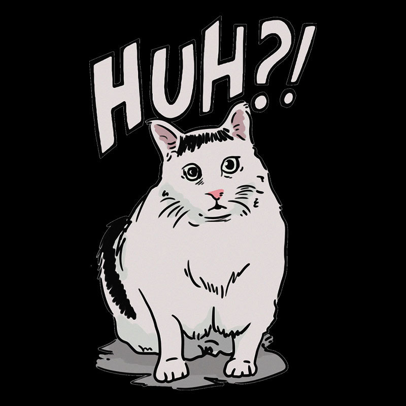 Huh Cat Geek T-Shirt