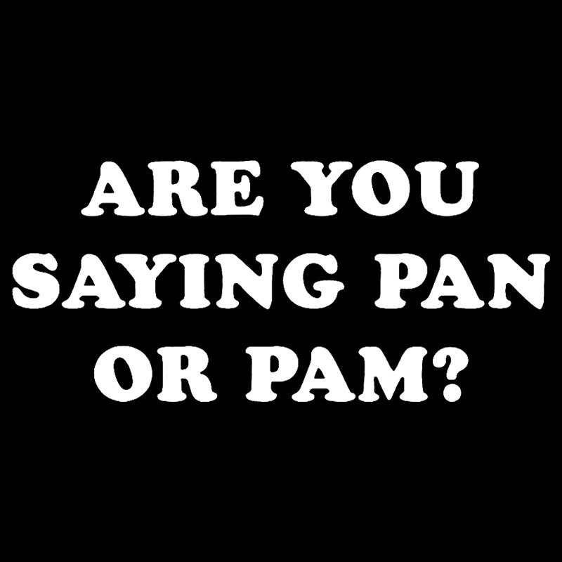 Are You Saying Pan Or Pam Geek T-Shirt