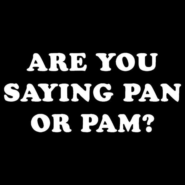 Are You Saying Pan Or Pam Geek T-Shirt