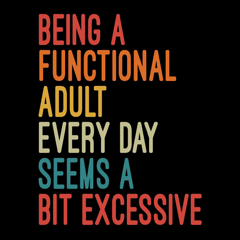 Being a Functional Adult Every Day Seems a Bit Excessive Geek T-Shirt