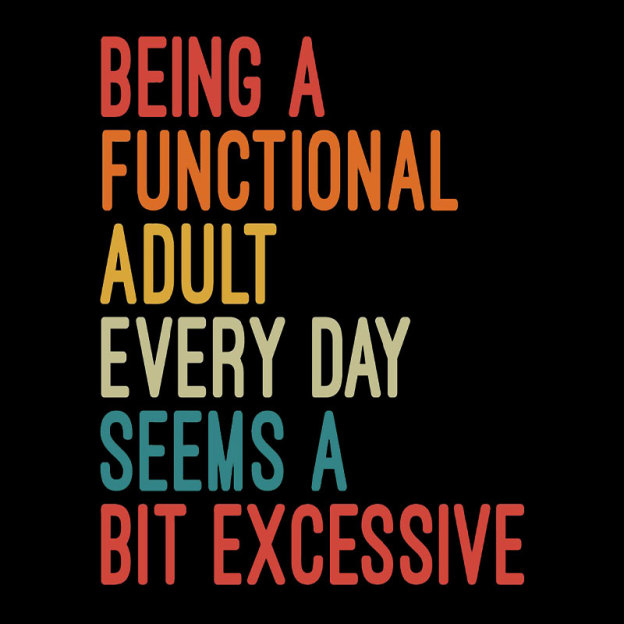 Being a Functional Adult Every Day Seems a Bit Excessive Geek T-Shirt