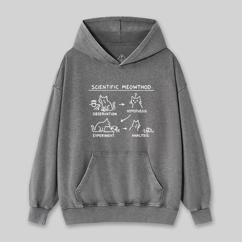 Scientific Meowthod Washed Hoodie