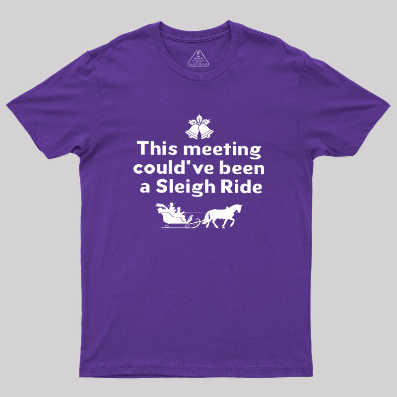 This Meeting Could Have Been A Sleigh Ride Geek T-Shirt