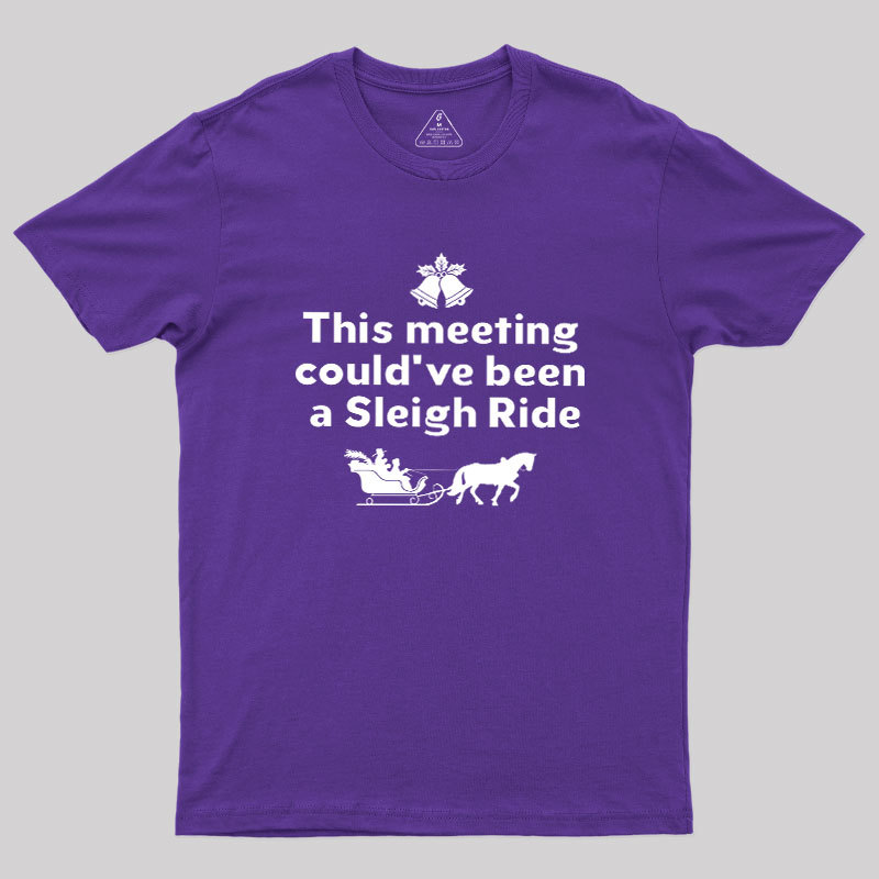 This Meeting Could Have Been A Sleigh Ride Geek T-Shirt