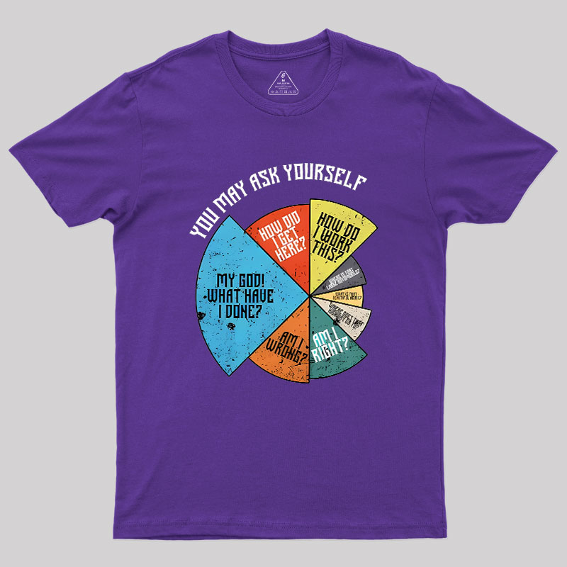 You Should Ask Yourself Geek T-Shirt