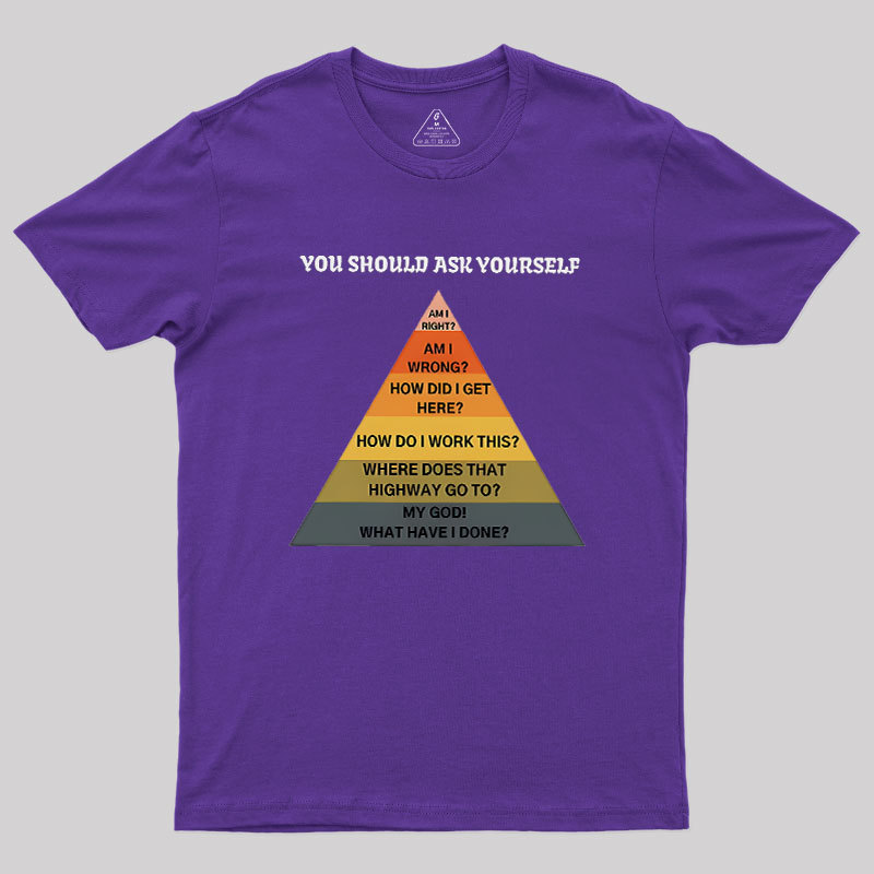 You Should Ask Yourself Geek T-Shirt