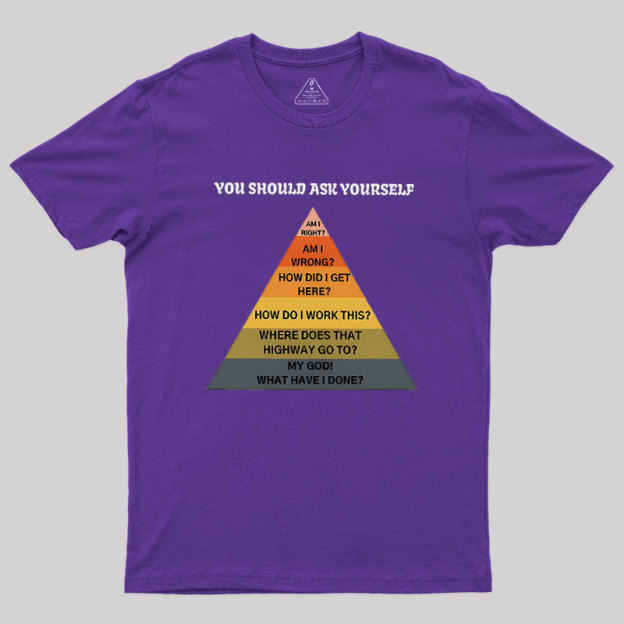 You Should Ask Yourself Geek T-Shirt