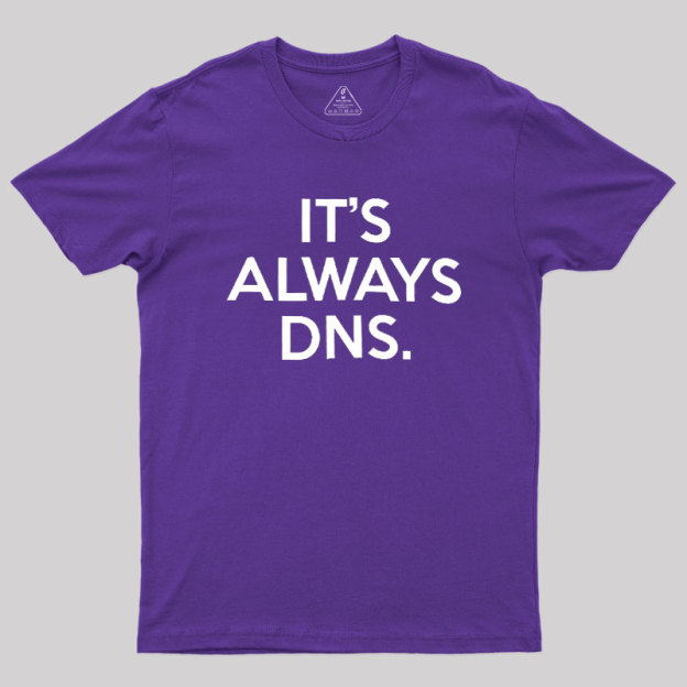 It's Always DNS Geek T-Shirt