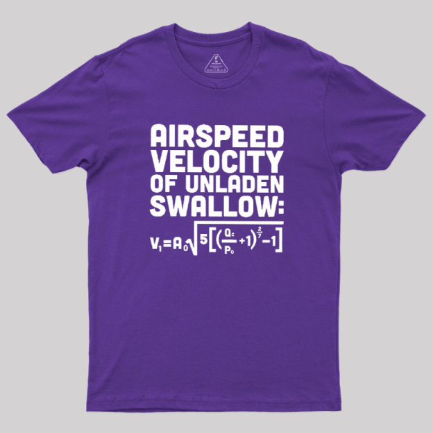 Airspeed Velocity of an Unladen Swallow Geek T-Shirt