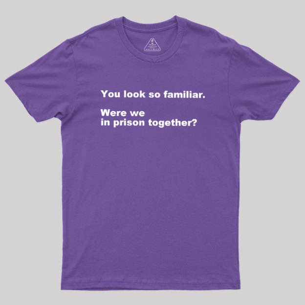Were We in Prison Together Geek T-Shirt