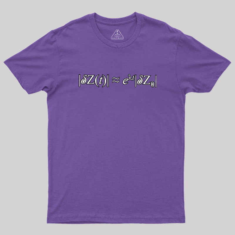 Chaos Theory Geek T-Shirt