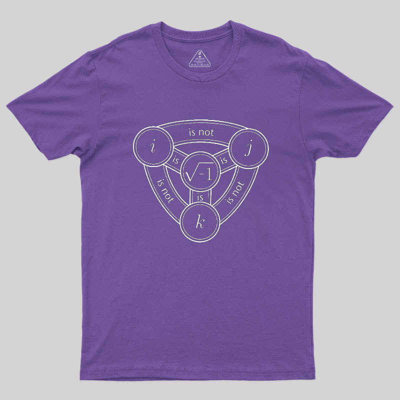 Divine Algebraic Confusion Geek T-Shirt