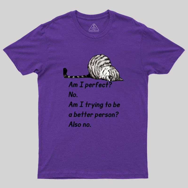 Am I Perfect No Geek T-Shirt