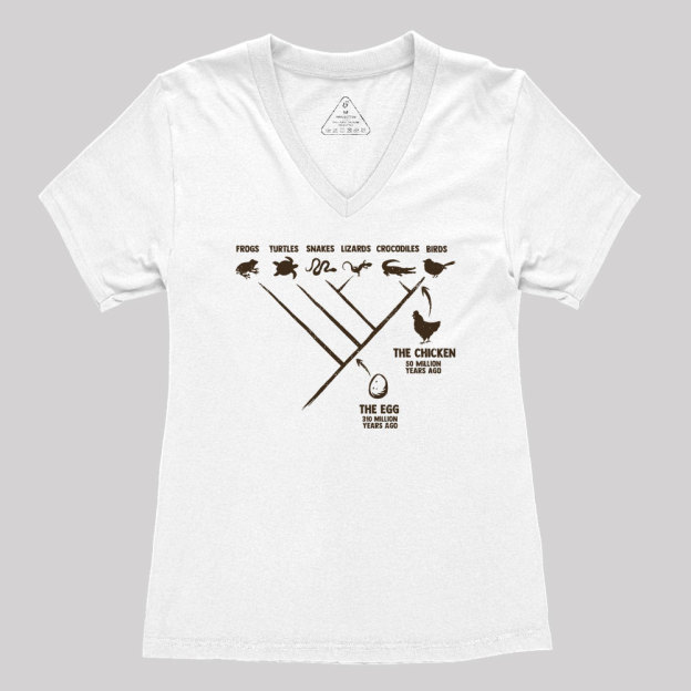 The Chicken And The Egg Geek Women's V-Neck T-shirt
