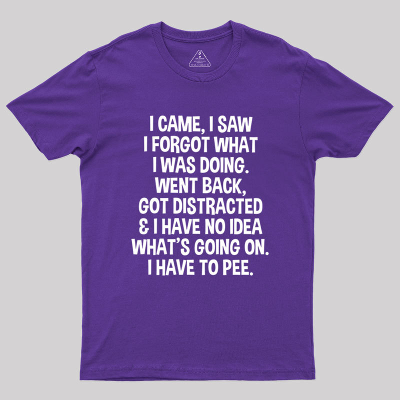 I Came I Saw I Forgot What I Was Doing Geek T-Shirt