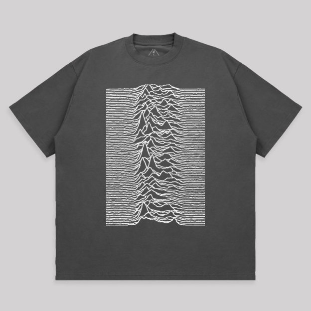 Unknown Pleasures Unisex Oversized T-shirt