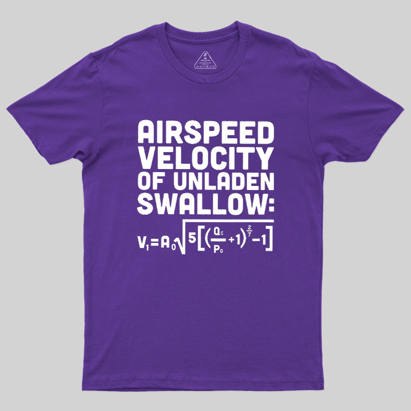 Airspeed Velocity Of Unladen Swallow Geek T-Shirt