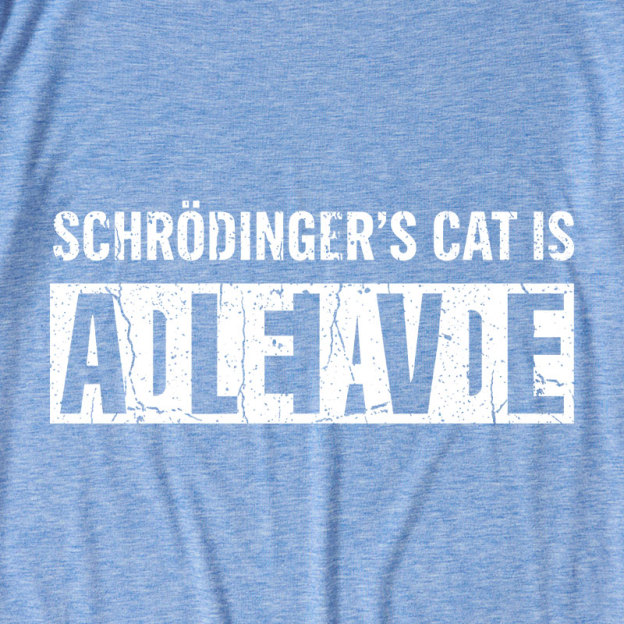 Schrodingers Cat Ultra Soft Heather Tee