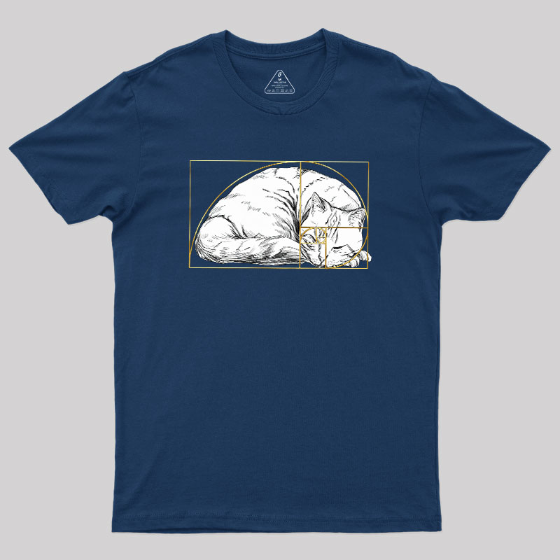 Perfect Ratio Geek T-Shirt