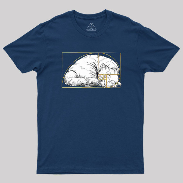 Perfect Ratio Geek T-Shirt