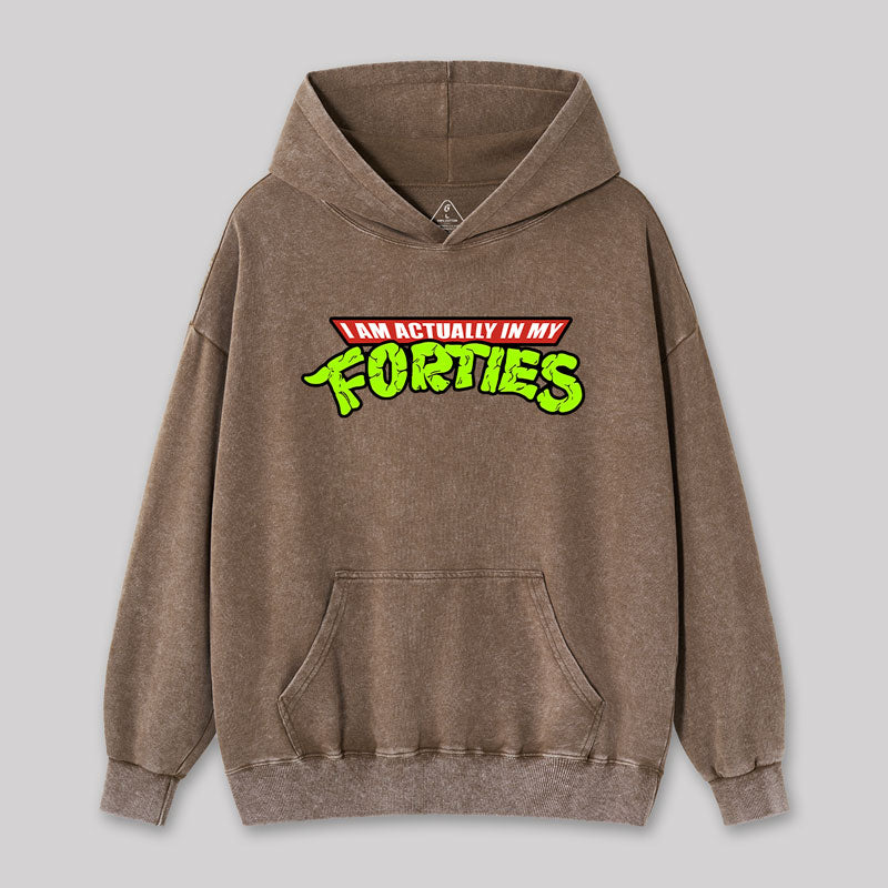VANILLANI スウェット Geeky & Nerdy Washed Vintage Hoodies Sale - Geeksoutfit.com