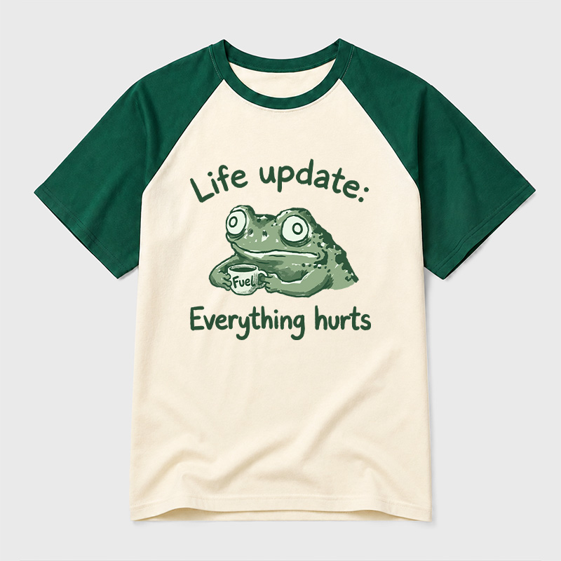 EVERYTHING HURTS Geek Retro Raglan T-Shirt
