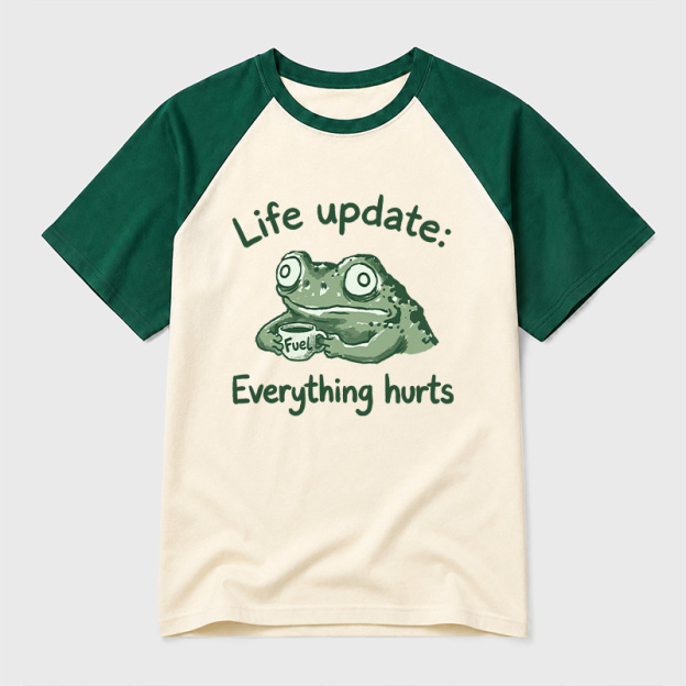EVERYTHING HURTS Geek Retro Raglan T-Shirt