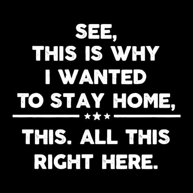 See This Is Why I Wanted To Stay home Geek T-Shirt