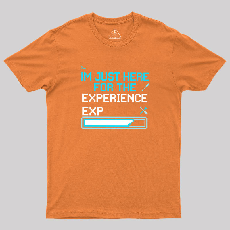 Leveling Up IRL Geek T-Shirt