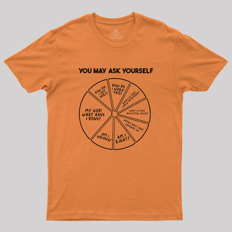 You May Ask Yourself Geek T-Shirt